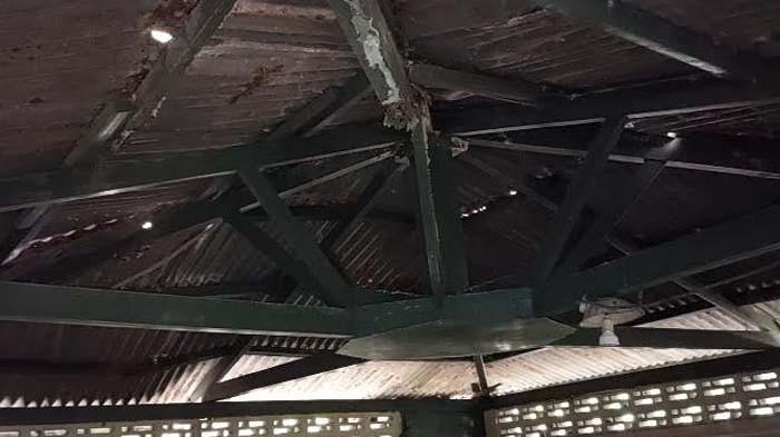 Kengerian Atap Ranggapati, Ancaman Mengintai Pengunjung Bogor 1 AA1O8hnT 1