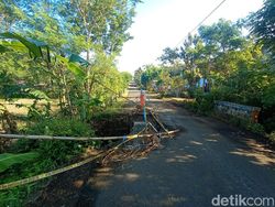 Jembatan Penghubung Dusun di Tlogo Blitar Ambrol, DPUPR Belum Terima Laporan 1 jembatan di desa tugurejo blitar ambrol separuh 43 1